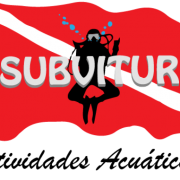 (c) Subvitur.com
